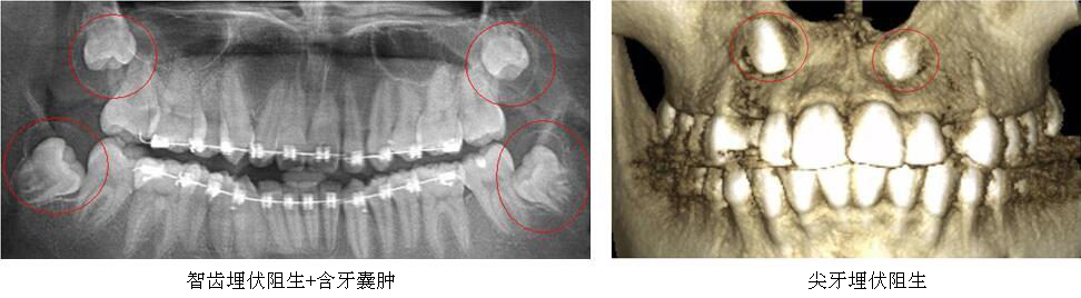 沐鸣娱乐_沐鸣平台登录-官方授权注册效劳中心