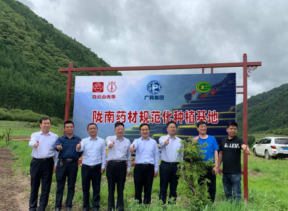 药材好，药才好 ——白云山幼柴胡颗粒北柴胡规范化种植基地正式揭牌！