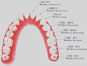 沐鸣娱乐_沐鸣平台登录-官方授权注册效劳中心