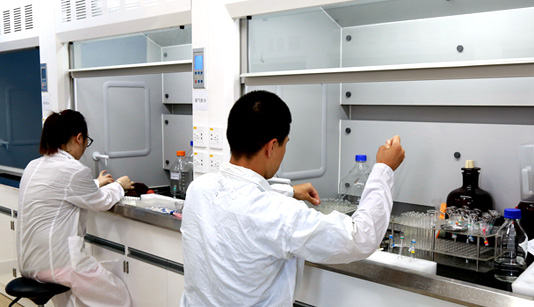 xc sports(中国区)-官方网站